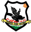 Swedru Senior High School (SWESCO)