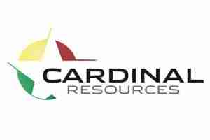 Cardinal Resources Ghana