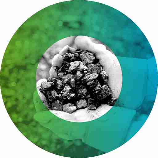 Future Global Resources Ltd.