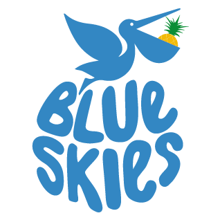 Blue Skies Products Ltd, Ghana