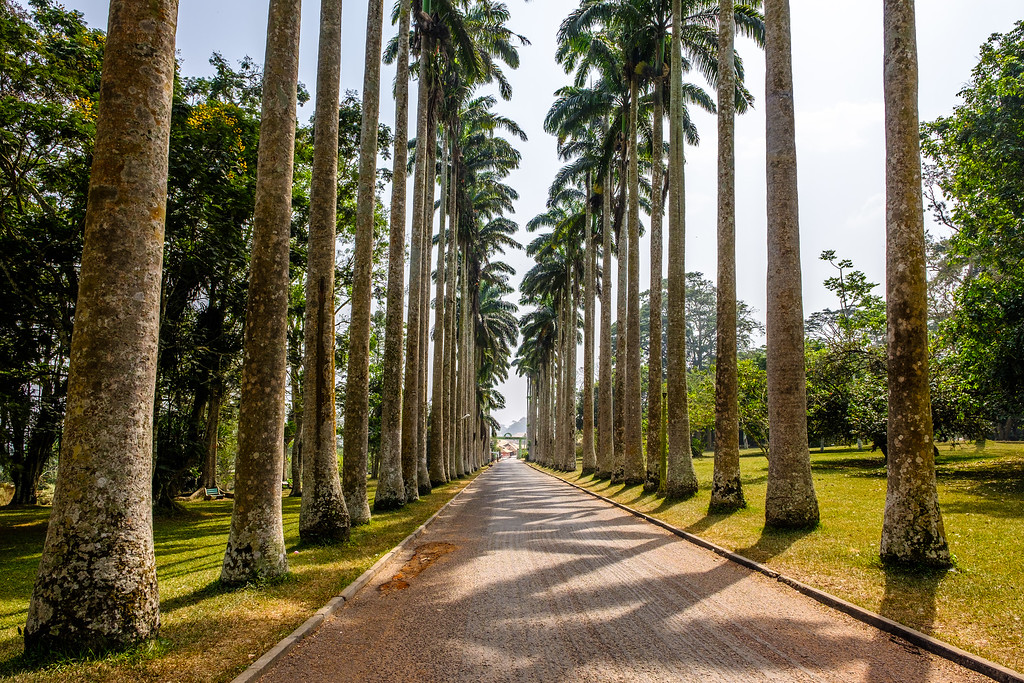 Aburi Botanic Gardens